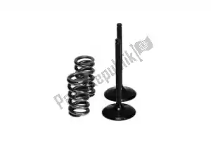 PROX PX28SIS24402 sv steel intake valve and spring kit - Left side