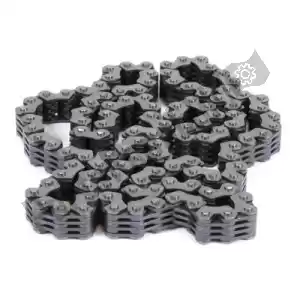 PROX PX311691 catena di camme sv - Il fondo