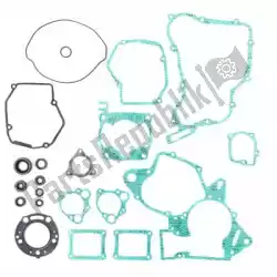 Here you can order the sv complete gasket set from Prox, with part number PX341220:
