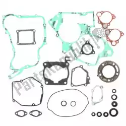 Here you can order the sv complete gasket set from Prox, with part number PX341212: