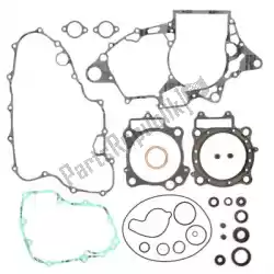Here you can order the sv complete gasket set from Prox, with part number PX341496: