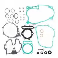 PX341613, Prox, Sv complete gasket set    , Nieuw