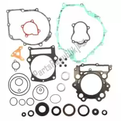 Here you can order the sv complete gasket set from Prox, with part number PX342661: