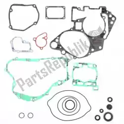 Here you can order the sv complete gasket set from Prox, with part number PX343224: