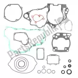Here you can order the sv complete gasket set from Prox, with part number PX343321:
