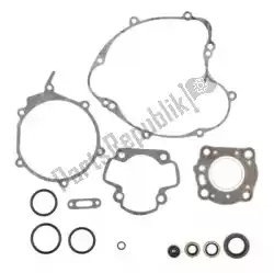 Here you can order the sv complete gasket set from Prox, with part number PX344100: