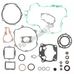 Here you can order the sv complete gasket set from Prox, with part number PX344218: