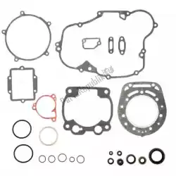 Here you can order the sv complete gasket set from Prox, with part number PX344409:
