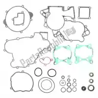PX346103, Prox, Sv complete gasket set    , New
