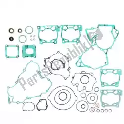 Here you can order the sv complete gasket set from Prox, with part number PX346216: