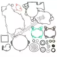 PX346113, Prox, Sv complete gasket set    , New