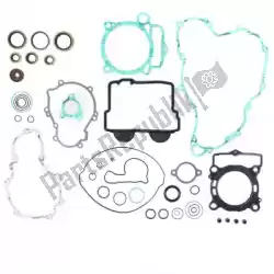 Here you can order the sv complete gasket set from Prox, with part number PX346334: