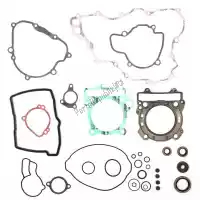 PX346326, Prox, Sv complete gasket set    , Nieuw