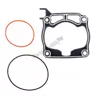 PX362205, Prox, Sv head and base gasket    , Nieuw