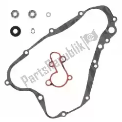 Here you can order the sv water pump rebuild kit from Prox, with part number PX573111: