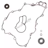 PX576325, Prox, Sv water pump rebuild kit    , Nieuw