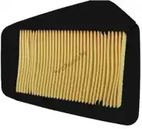 5255570, Champion, Filtre a air caf0113    , Nouveau