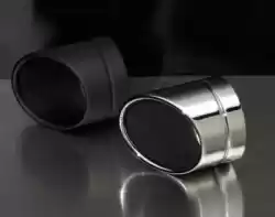 Ici, vous pouvez commander le exh embout retroussé chrome set auprès de Remus , avec le numéro de pièce 84823160: