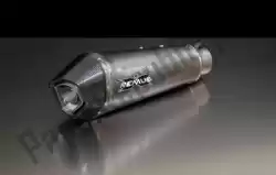 Here you can order the exh set hypercone titanium eec from Remus, with part number 056802087015: