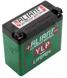 Here you can order the battery ylp24 lithium from Aliant, with part number 109977: