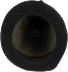 Here you can order the filter, air sm from Twin AIR, with part number 46157004SM: