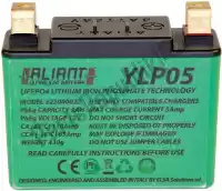109971, Aliant, Batterie ylp05 lithium    , Nouveau