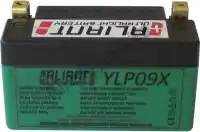 109973, Aliant, Battery ylp09x lithium    , New