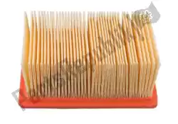 Here you can order the filter, air caf6602 from Champion, with part number 5255045: