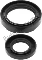 200242019, ALL Balls, Rep crank shaft seal kit 24-2019    , Nieuw