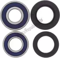 200251113, ALL Balls, Wiel keer wheel bearing kit 25-1113    , Nieuw