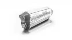 Here you can order the exh set remus 8 stainless steel matt ec from Remus, with part number 0584582088019: