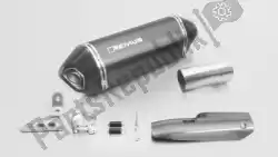 Here you can order the exh set hexacone carbon eec from Remus, with part number 054482088117: