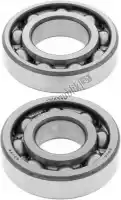 200241036, ALL Balls, Rep crank shaft bearing kit 24-1036    , Nieuw