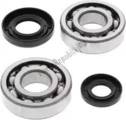 Here you can order the rep crank shaft bearing kit 24-1029 from ALL Balls, with part number 200241029: