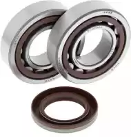 200241106, ALL Balls, Rep crank shaft bearing kit 24-1106    , New