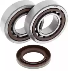 rep crank shaft bearing kit 24-1106 van ALL Balls, met onderdeel nummer 200241106, bestel je hier online: