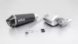 Here you can order the exh set hypercone stainless steel black eec from Remus, with part number 406782155217: