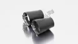 Here you can order the exh optional cat. Cover - set 2 pcs from Remus, with part number 84823185:
