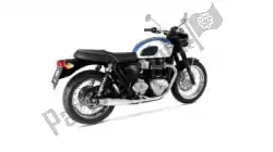 Here you can order the exh set custom stainless steel chrome eec from Remus, with part number 007102918017LR: