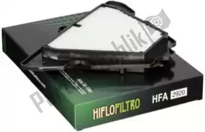 HiFlo HFA2920 filtre à air - La partie au fond