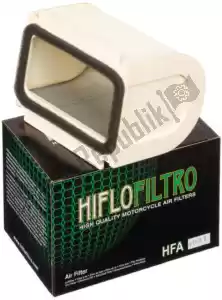 HiFlo HFA4901 filtre à air - La partie au fond