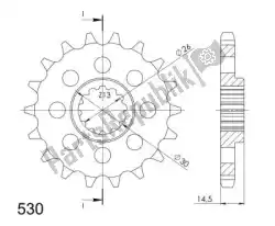 Here you can order the ktw front 18t from Supersprox, with part number SU134018: