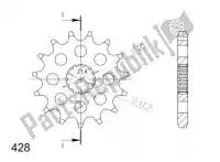 SU155819, Supersprox, Ktw dianteiro 19t, 428    , Novo