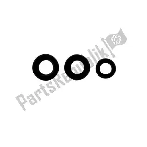 ATHENA P400210400309 gasket complete engine oil seals kit - Left side