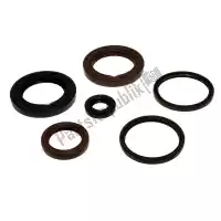 P400210400283, Athena, Gasket s/oil seal kymco downtown 200 11-14    , New