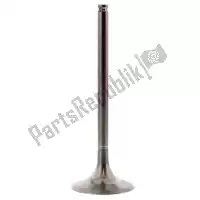 2864232, Pro-x, Intake valve, titanium    , New