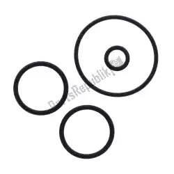 Here you can order the o ring set oem from OEM, with part number 7347457: