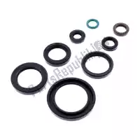 P400210400319, Athena, Gasket complete engine oil seals kit    , New