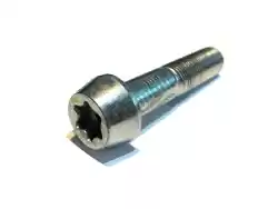 Here you can order the bolt, torx bolt, m14 x 65mm from Ducati, with part number 77918251AA: