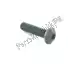 Tornillo Piaggio Group 00008052000